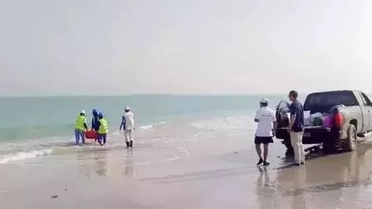 尊龙时凯·Z6(中国区)人生就是拼搏!