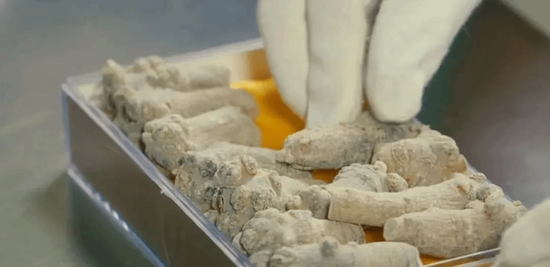 尊龙时凯·Z6(中国区)人生就是拼搏!