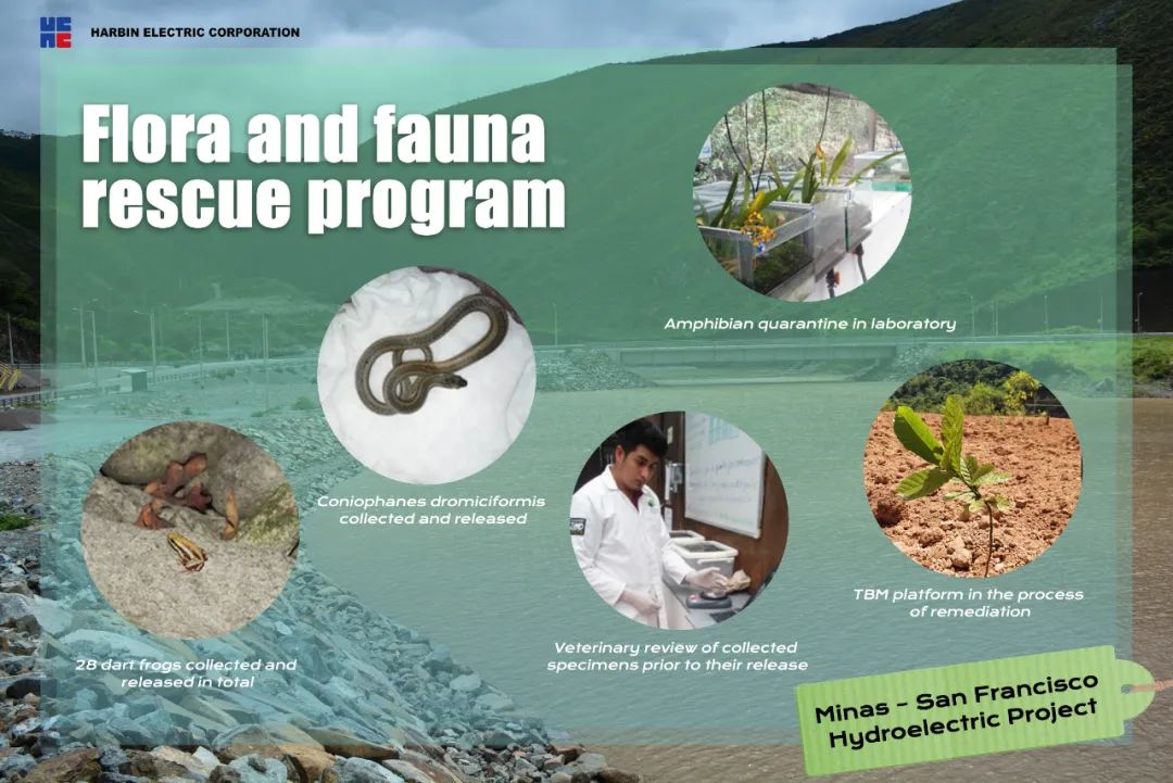 尊龙时凯·Z6(中国区)人生就是拼搏!