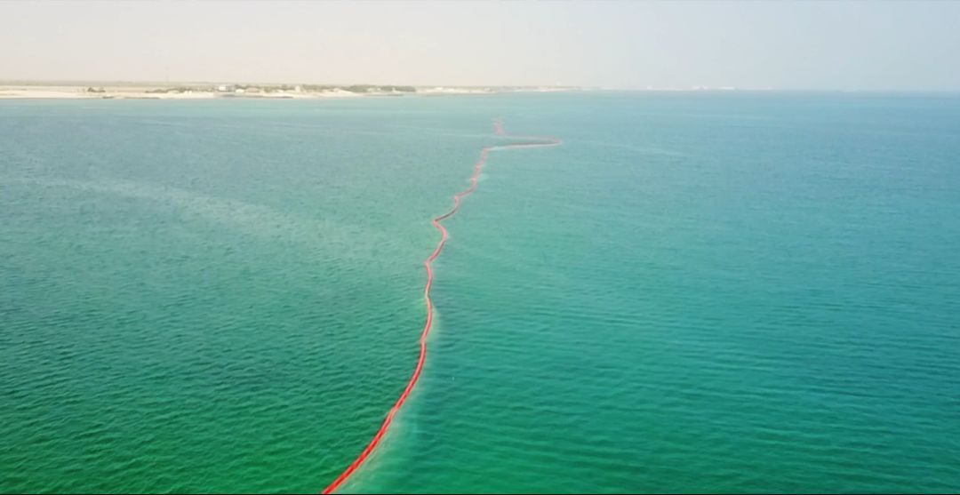 尊龙时凯·Z6(中国区)人生就是拼搏!