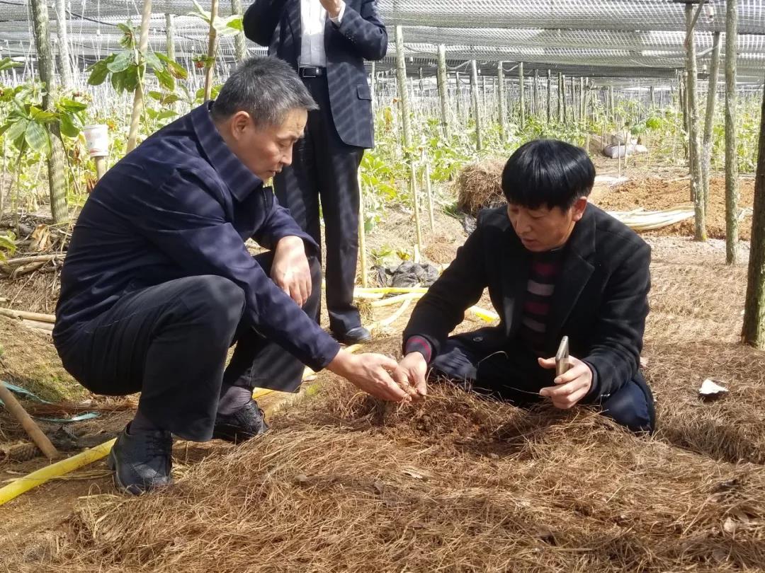 尊龙时凯·Z6(中国区)人生就是拼搏!