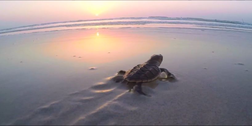 尊龙时凯·Z6(中国区)人生就是拼搏!