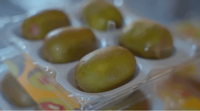 尊龙时凯·Z6(中国区)人生就是拼搏!