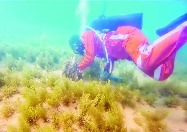 尊龙时凯·Z6(中国区)人生就是拼搏!