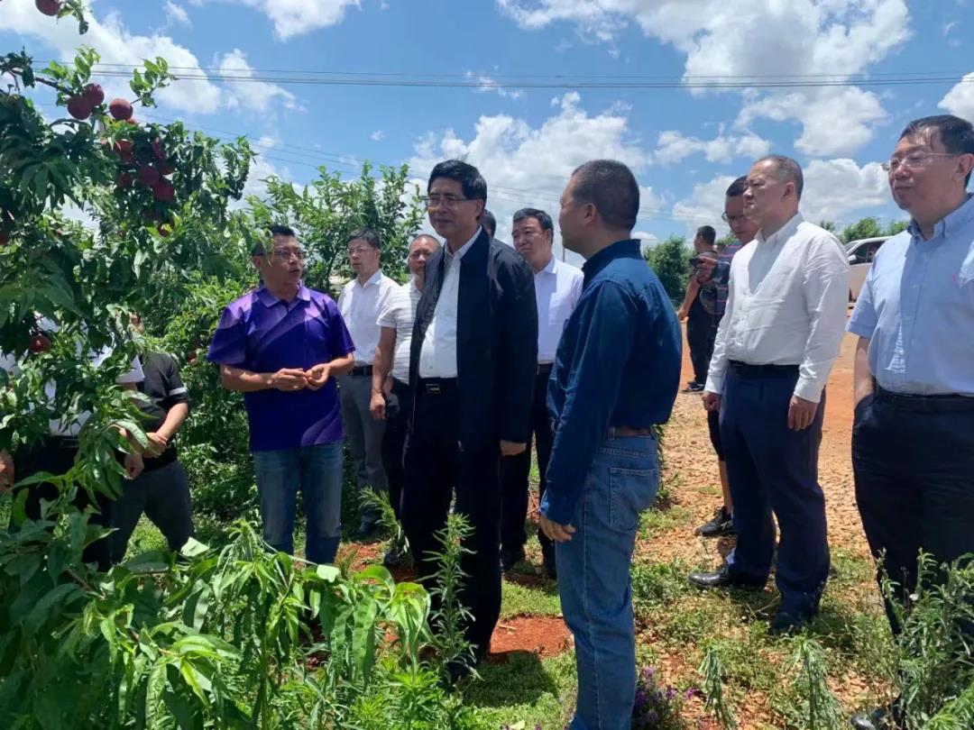 尊龙时凯·Z6(中国区)人生就是拼搏!