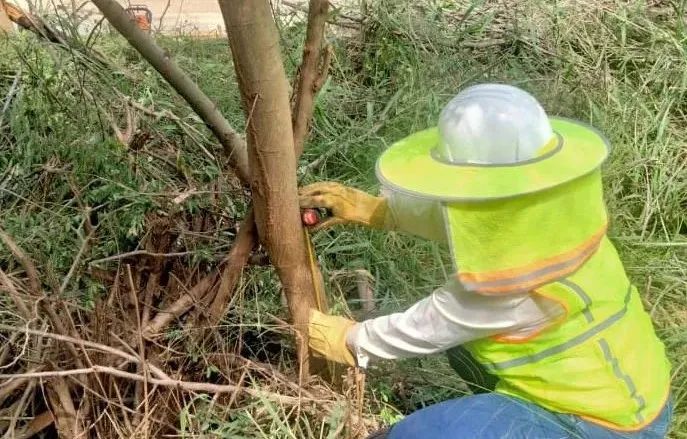 尊龙时凯·Z6(中国区)人生就是拼搏!