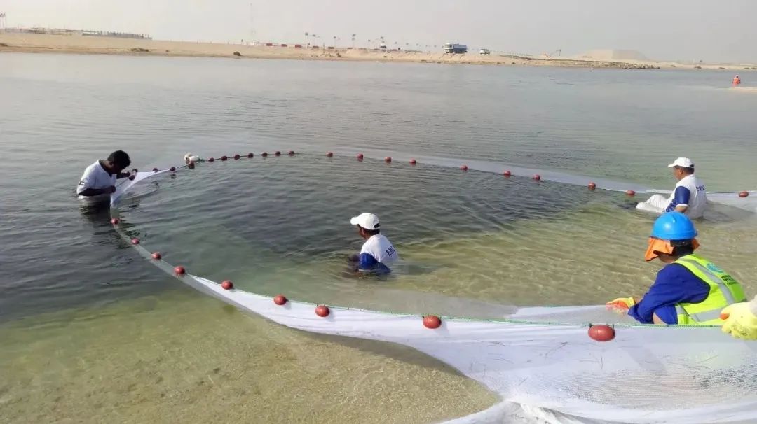 尊龙时凯·Z6(中国区)人生就是拼搏!