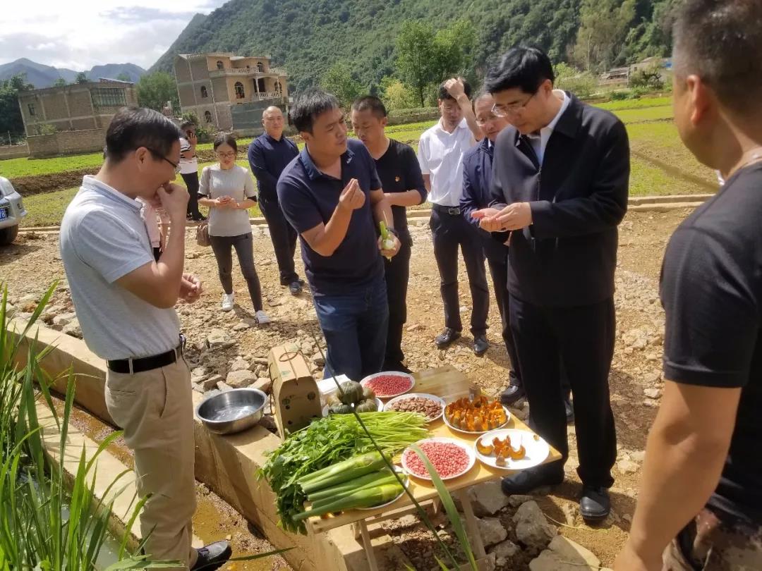 尊龙时凯·Z6(中国区)人生就是拼搏!