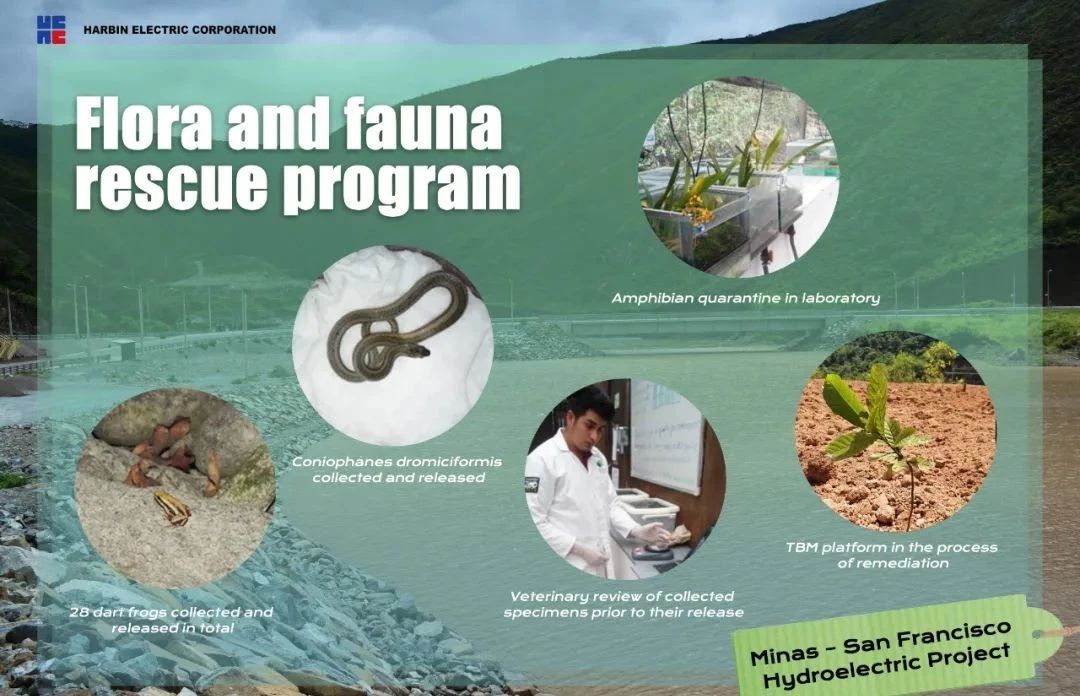 尊龙时凯·Z6(中国区)人生就是拼搏!