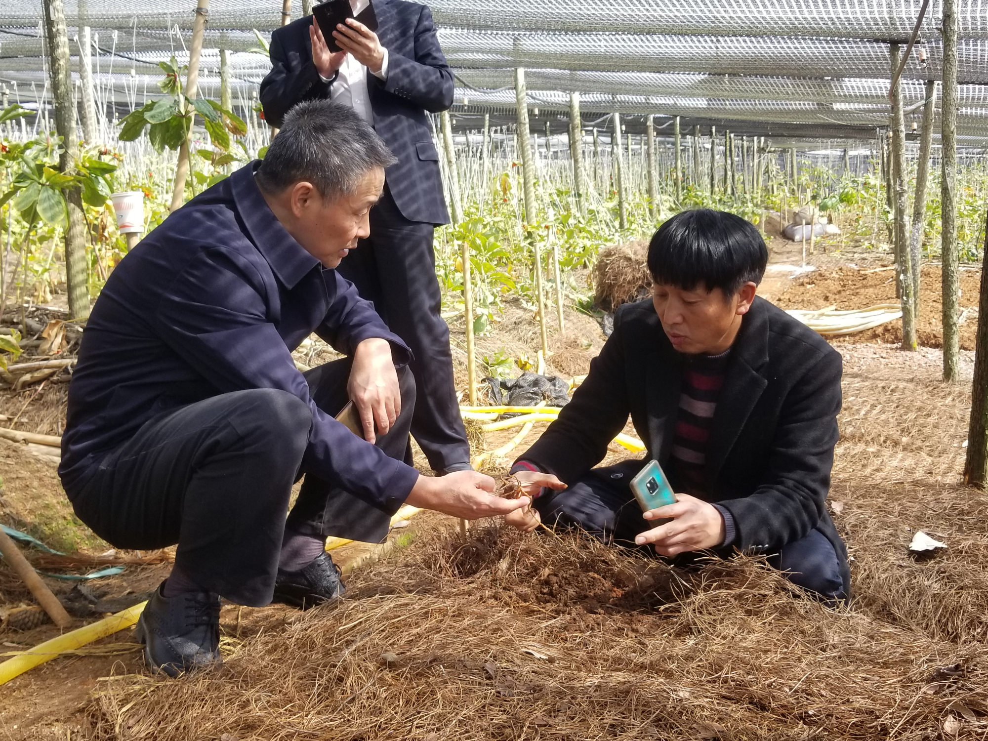 尊龙时凯·Z6(中国区)人生就是拼搏!