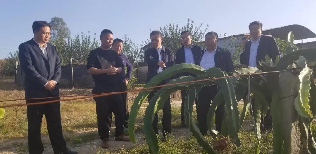 尊龙时凯·Z6(中国区)人生就是拼搏!