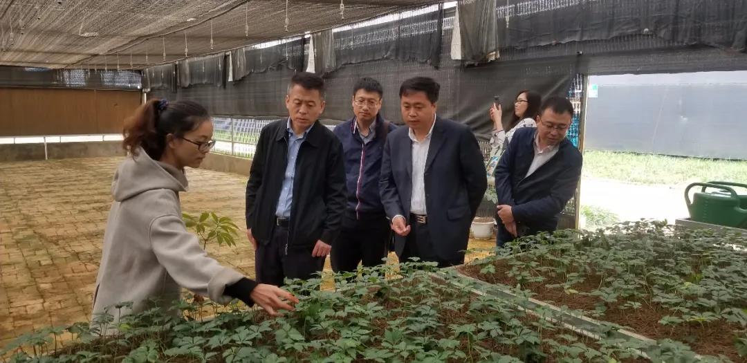 尊龙时凯·Z6(中国区)人生就是拼搏!