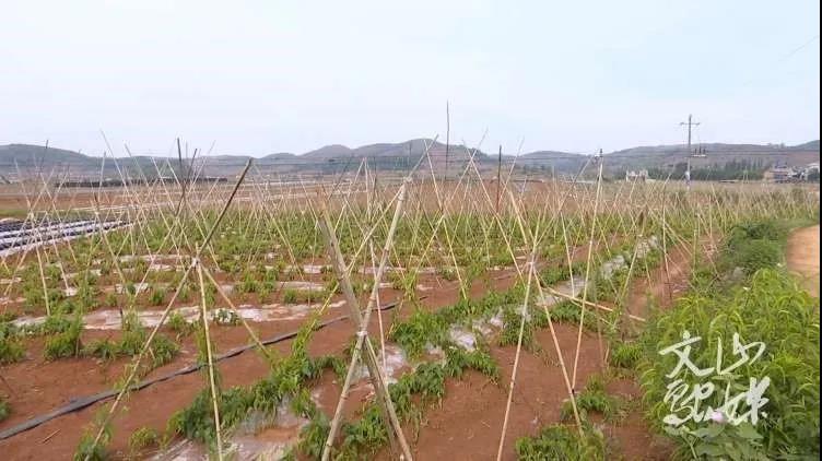 尊龙时凯·Z6(中国区)人生就是拼搏!