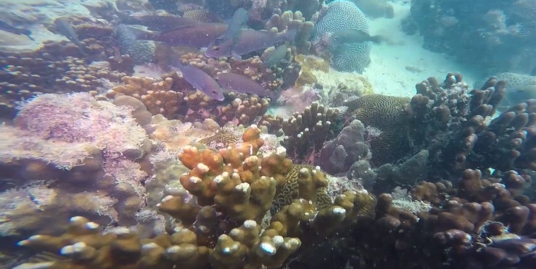 尊龙时凯·Z6(中国区)人生就是拼搏!