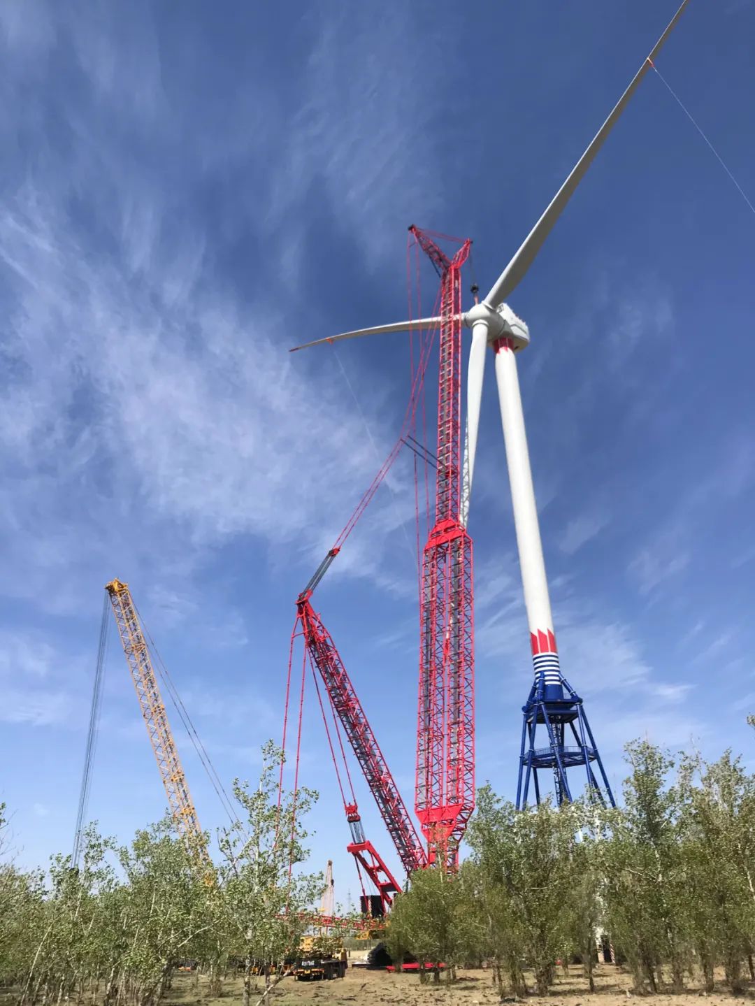 尊龙时凯·Z6(中国区)人生就是拼搏!