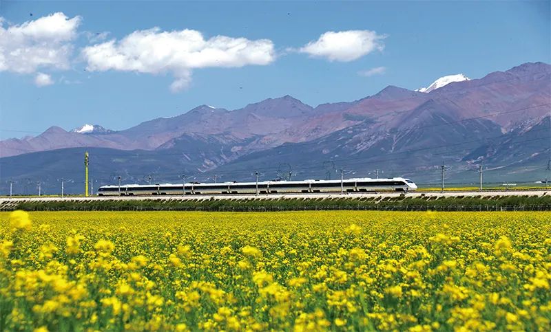 张玉卓、、、国资、、、央企、、、国资委、、、书记、、、主任、、、国企、、、企业刷新