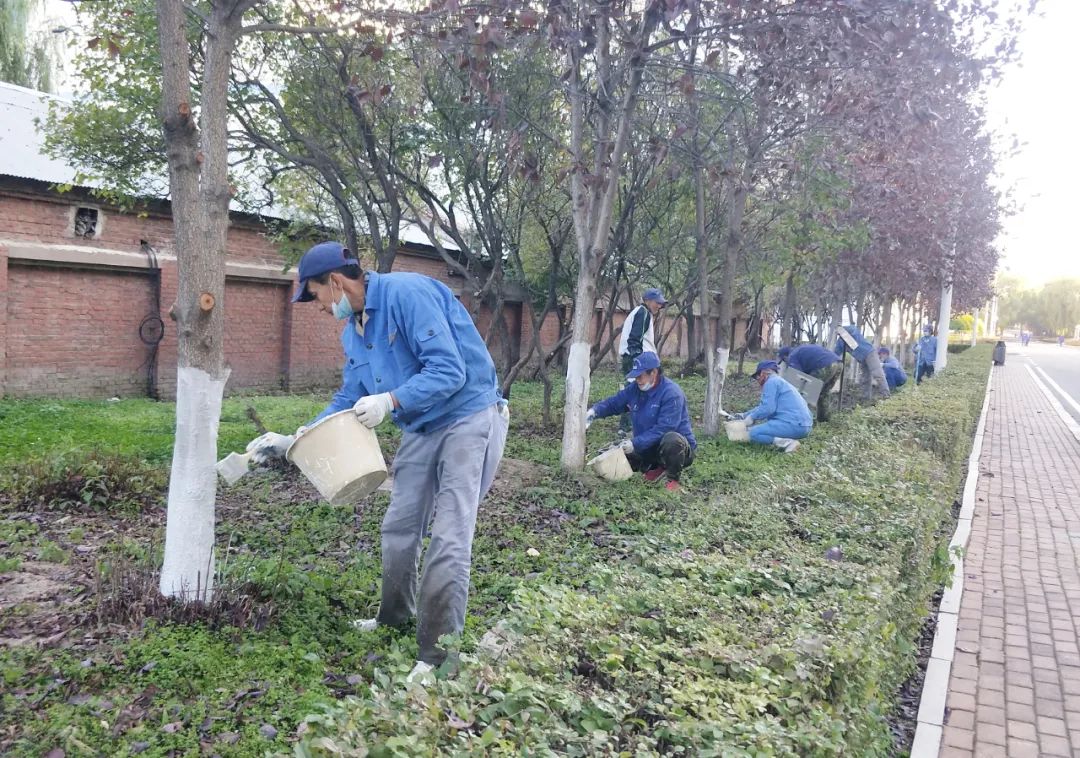 尊龙时凯·Z6(中国区)人生就是拼搏!