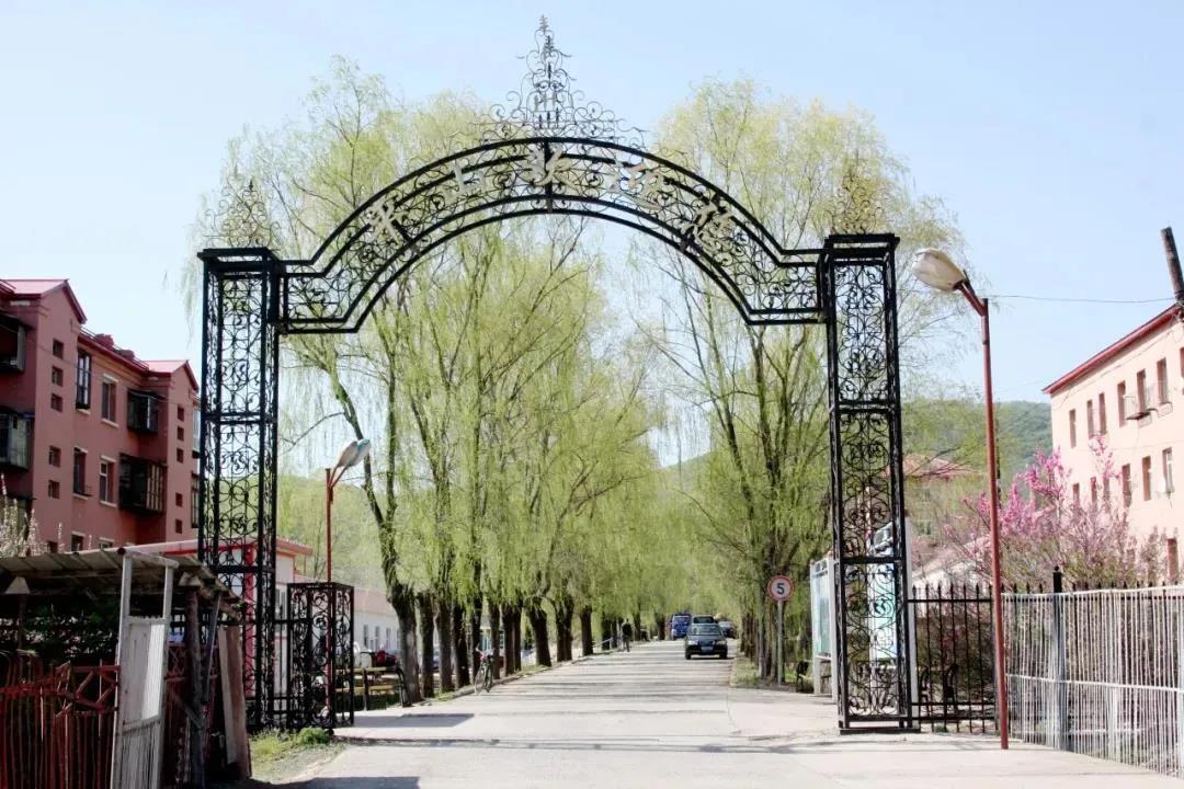 尊龙时凯·Z6(中国区)人生就是拼搏!