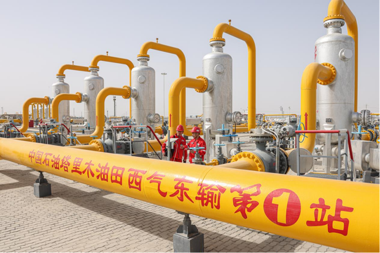 尊龙时凯·Z6(中国区)人生就是拼搏!