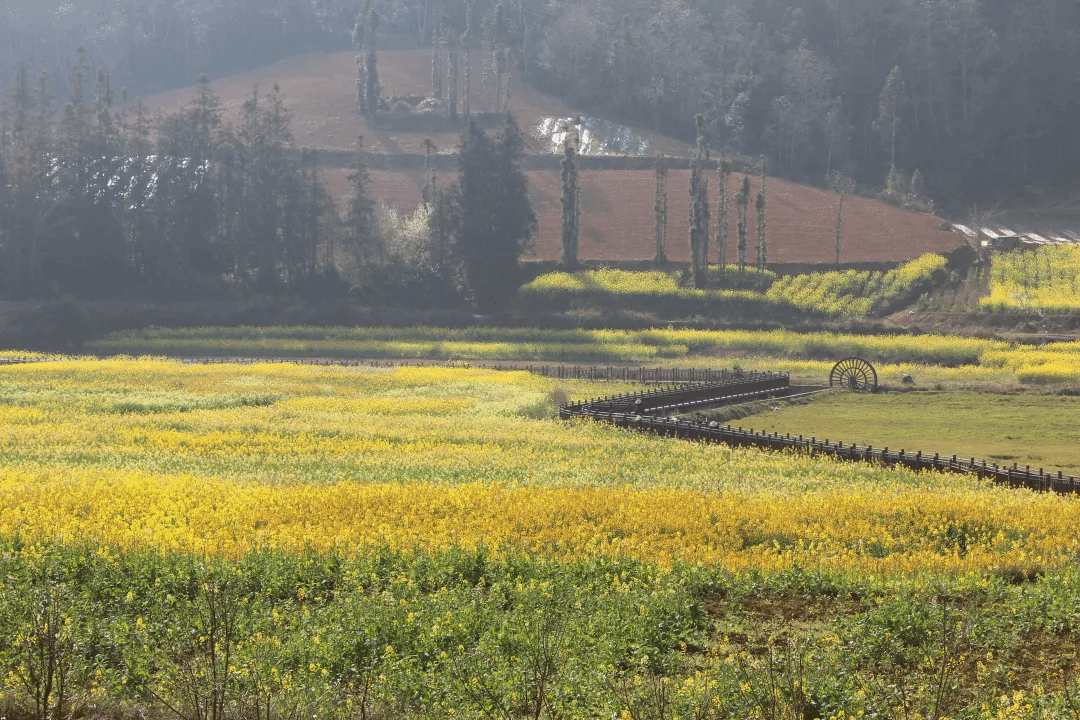 尊龙时凯·Z6(中国区)人生就是拼搏!