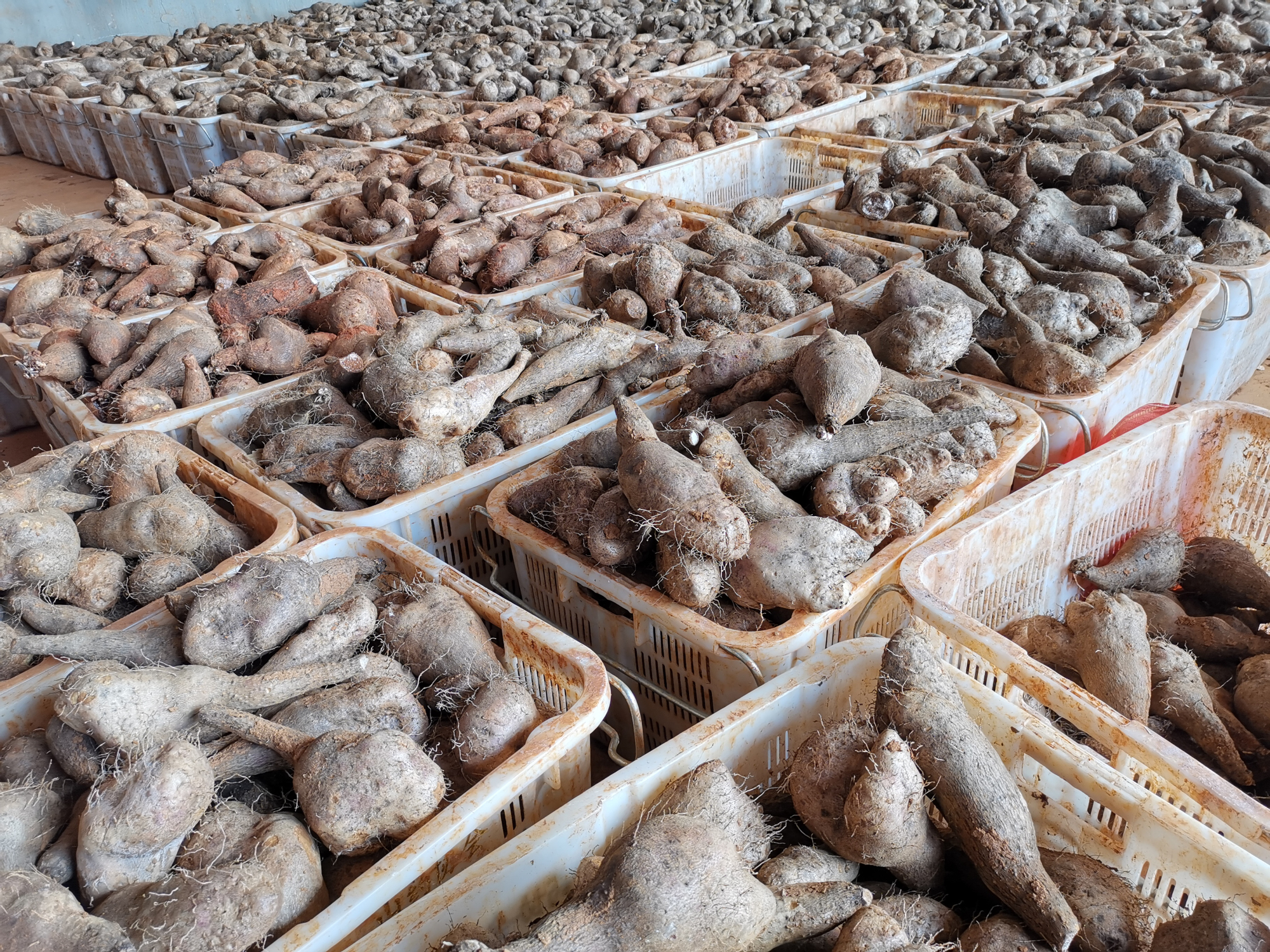 尊龙时凯·Z6(中国区)人生就是拼搏!