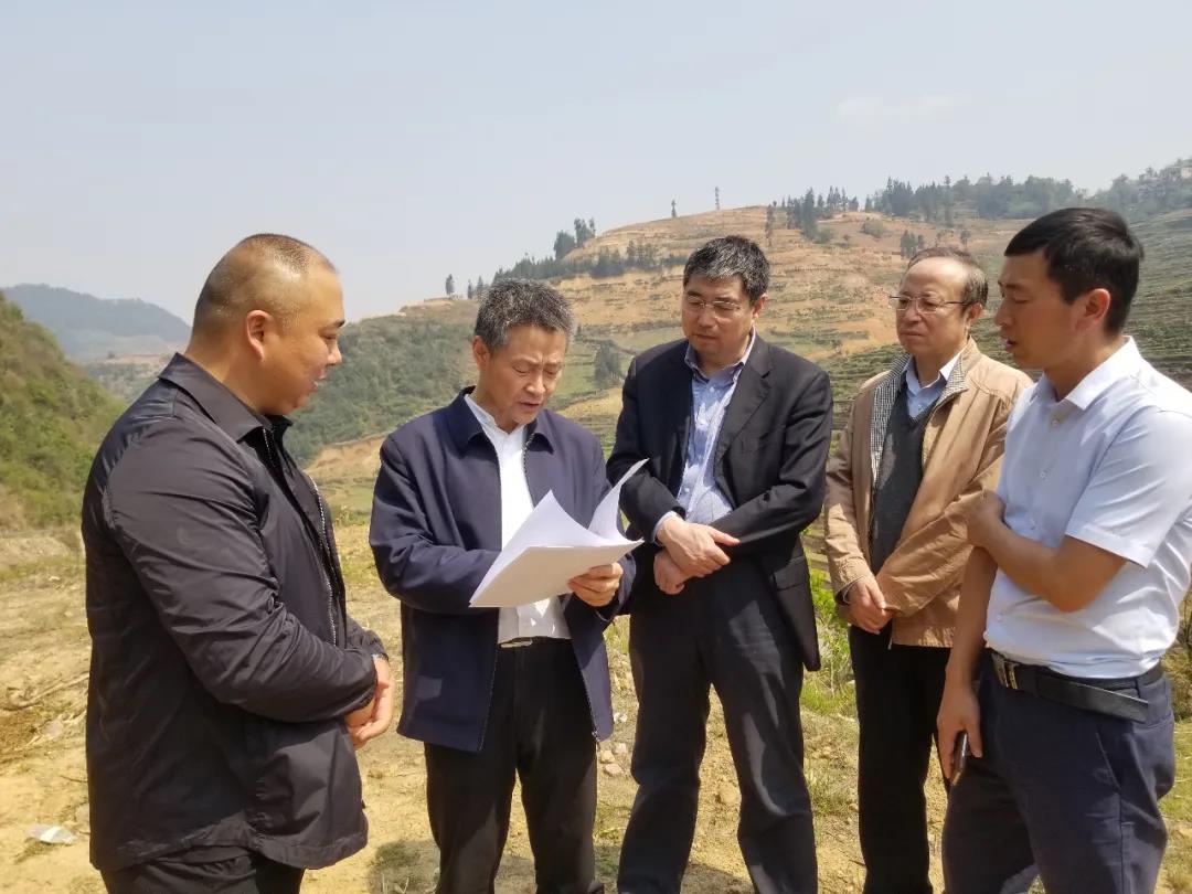 尊龙时凯·Z6(中国区)人生就是拼搏!